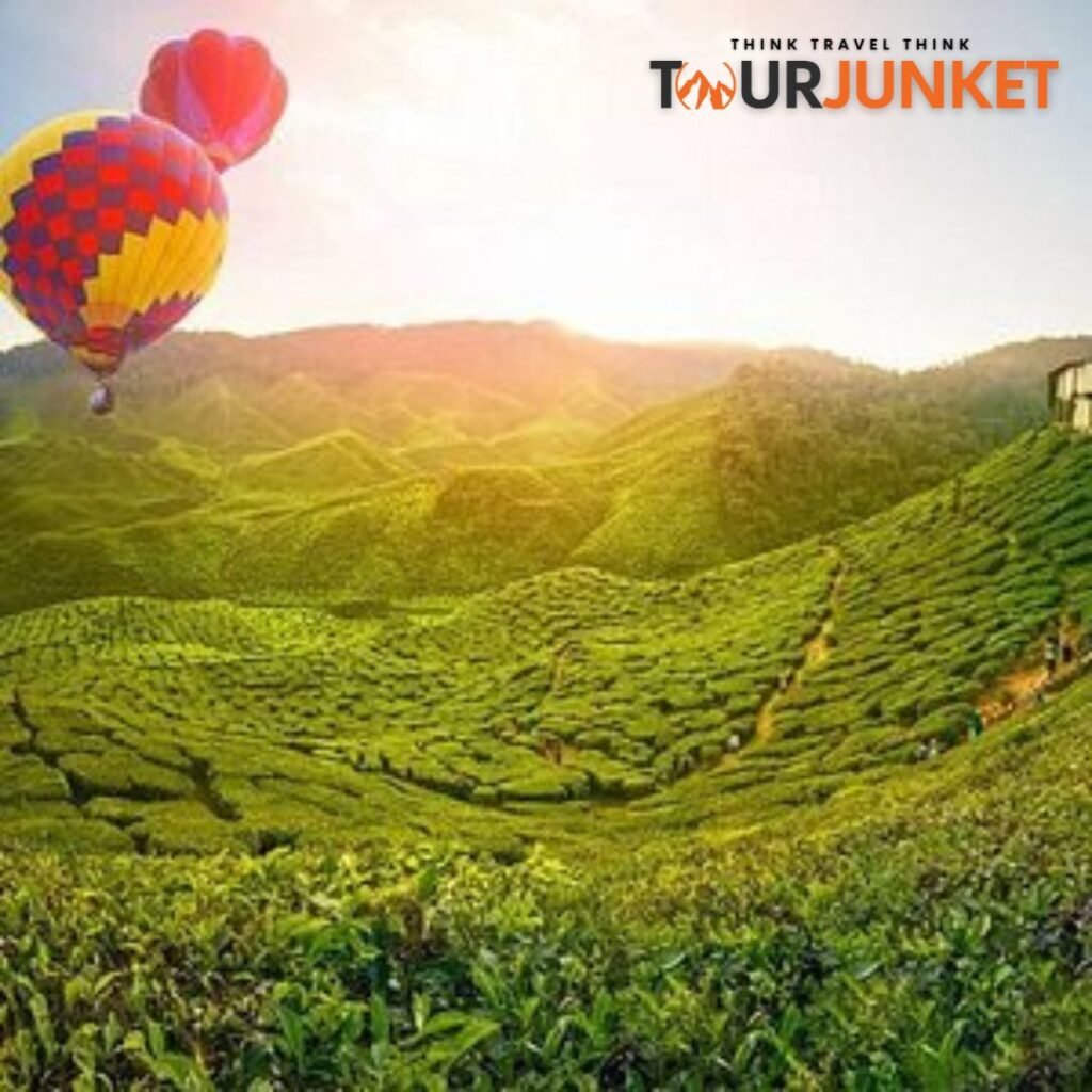 Places To Visit In Malaysia
Tourjunket
Cameron Highlands
