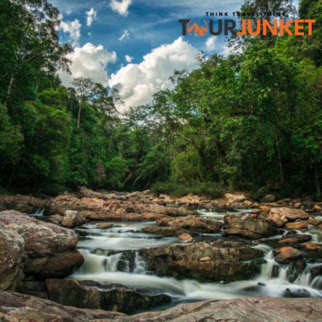 Places To Visit In Malaysia
Tourjunket
Taman Negara
